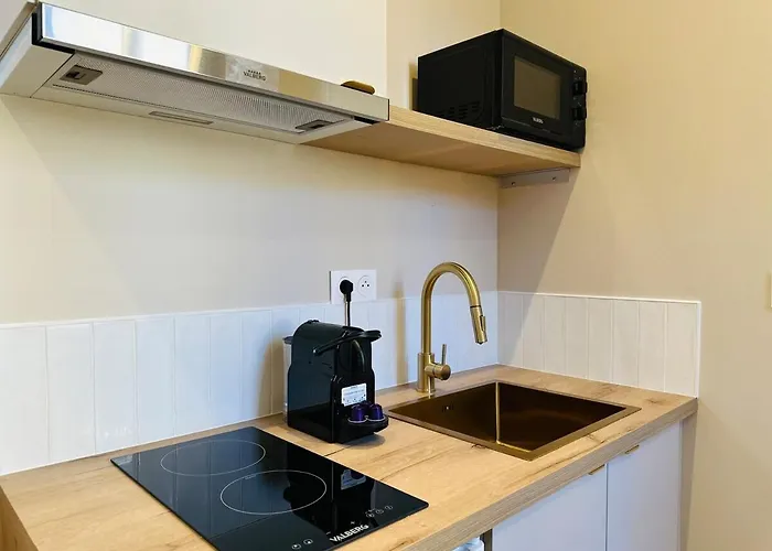 Le Petit Danton Ντιζόν